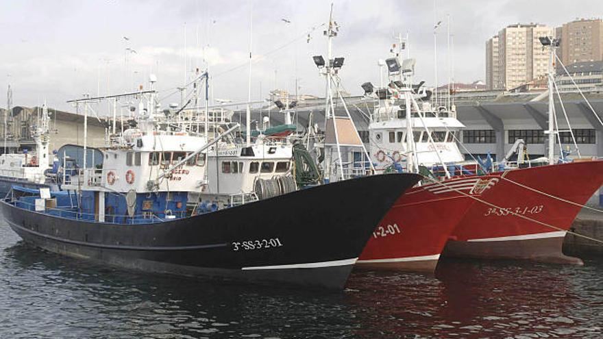 Flota de cerco amarrada en el puerto de A Coruña.