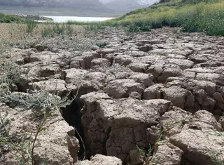 La Axarquía sueña con una desalinizadora que evite el adiós a miles de hectáreas de regadío