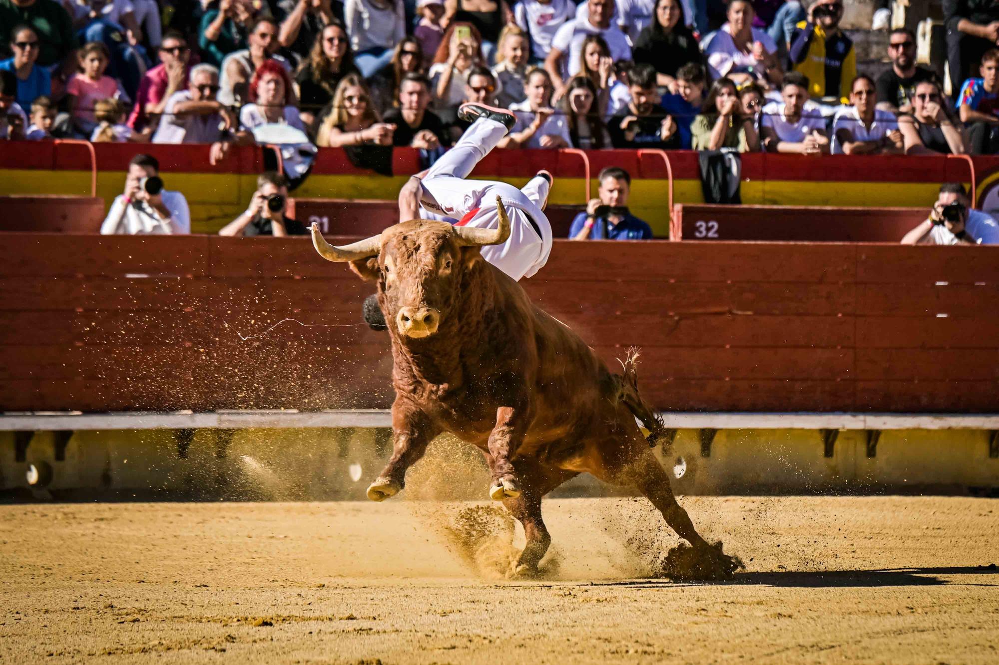 Final del campeonato de España de recortadores en Castelló