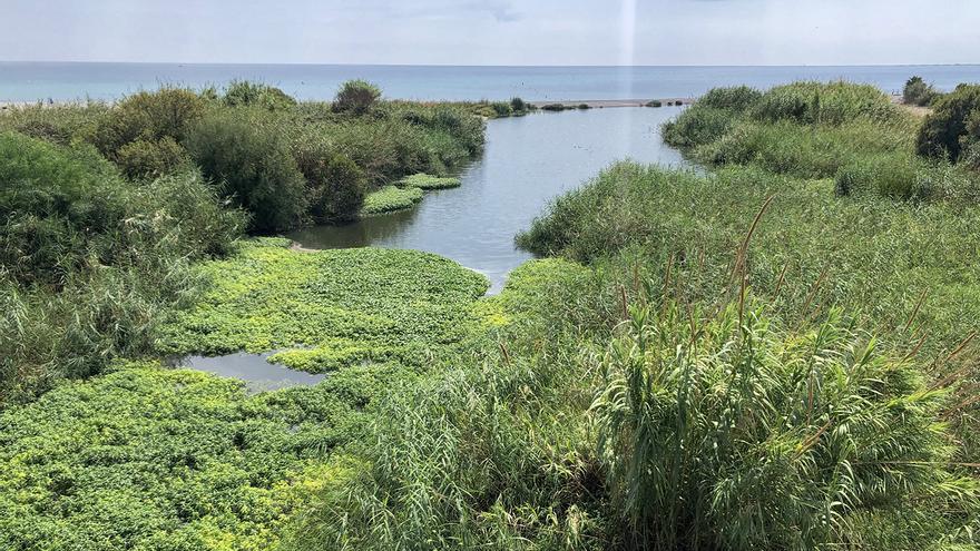 La ruta de senderismo ideal para este fin de semana: corta, llana, con vistas a un río (y hasta con culebras de agua)