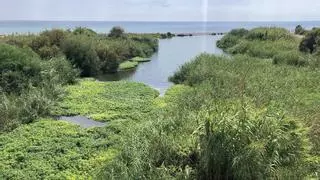 La ruta de senderismo ideal para este fin de semana: corta, llana, con vistas a un río (y hasta con culebras de agua)
