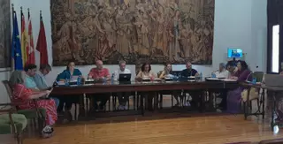 El Pleno aprueba la modificación provisional del PGOU de Toro y un REC