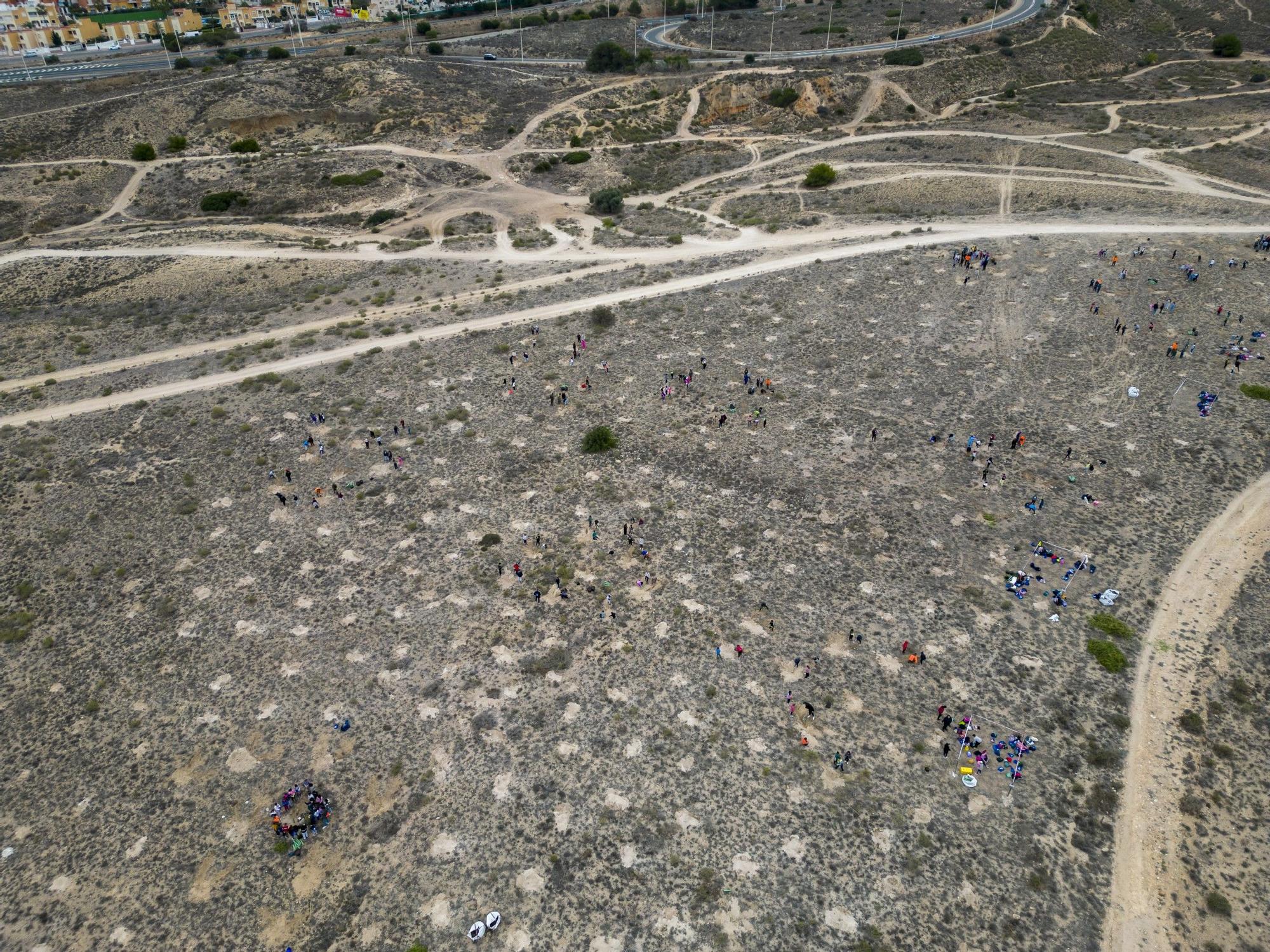 800 escolares se implican en la celebración del Día del Árbol con la plantación de especies autóctonas en torno a la laguna de La Mata de Torrevieja