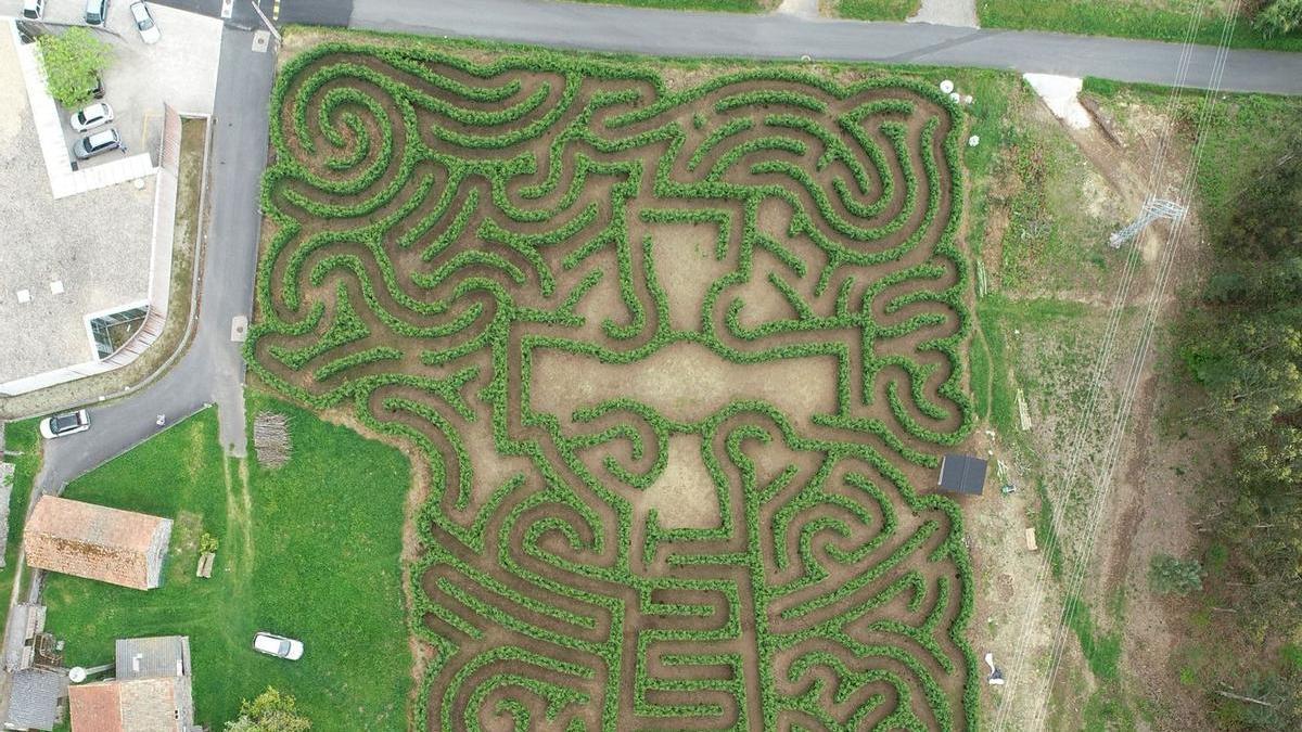 El laberinto más grande de España está en Galicia: 6.000 metros cuadrados y un plan ideal para esta primavera