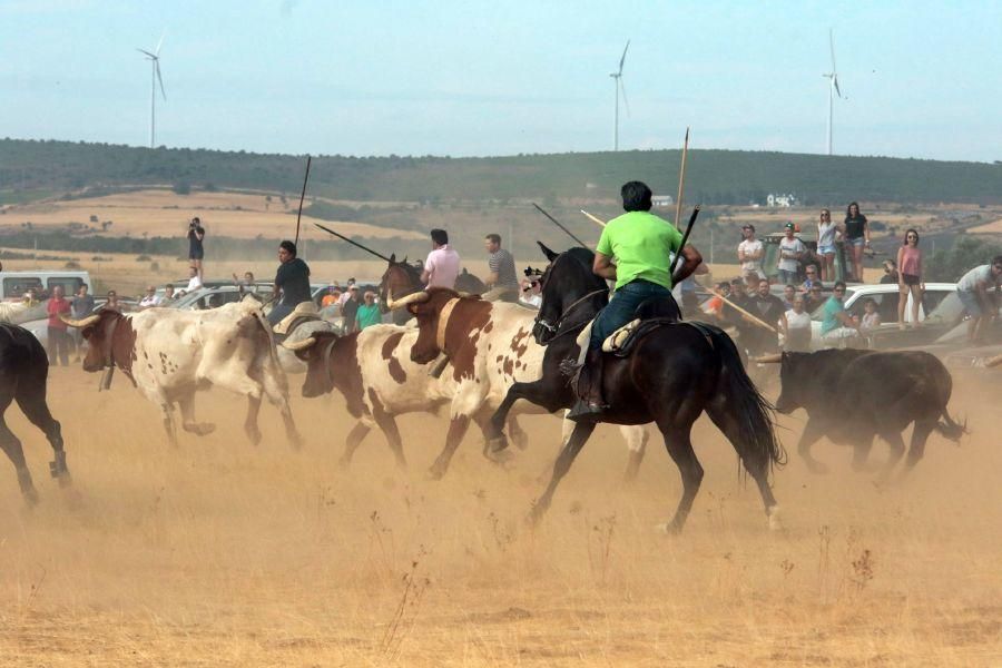 Fiestas en Zamora: Espantos en Carbajales