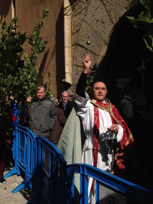 Semana Santa en Zamora: Borriquita en Toro