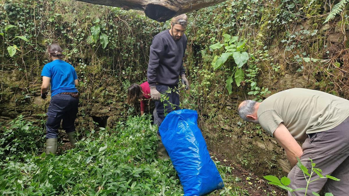 Educadores ambientales y voluntarios de Adega en la limpieza de ayer en el margen del río Tambre