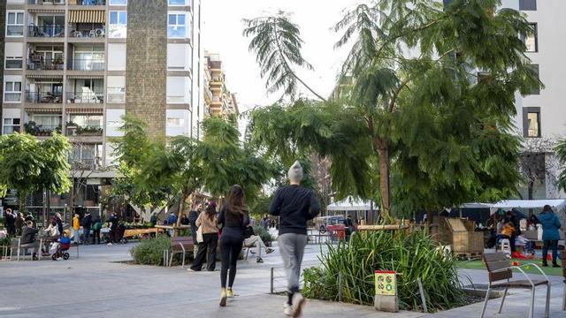 Arbres plantats el 2023 a l’encreuament de Borrell amb Consell de Cent.