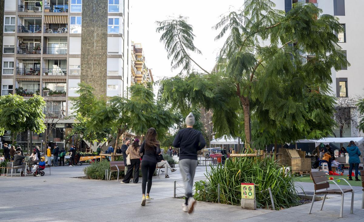 Dos anys de pluja en la mitjana històrica de Barcelona consoliden els eixos verds i prometen una primavera esplendorosa