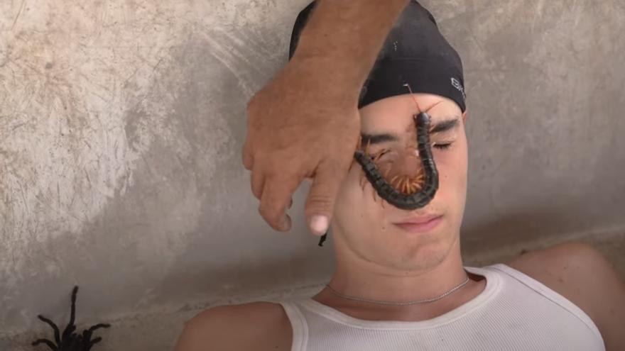 El loco entrenamiento del youtuber zamorano Plex con escorpiones