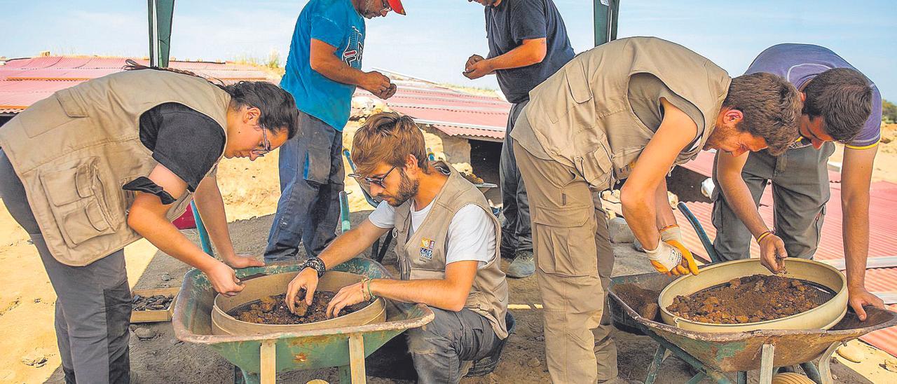 Trabajos para cribar la tierra de la estancia del pasillo norte,  esta semana.