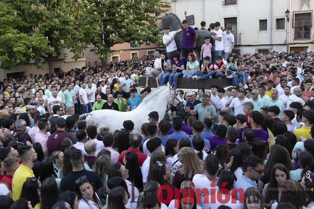 Fiestas de Caravaca | Entrega de premios del concurso morfológico