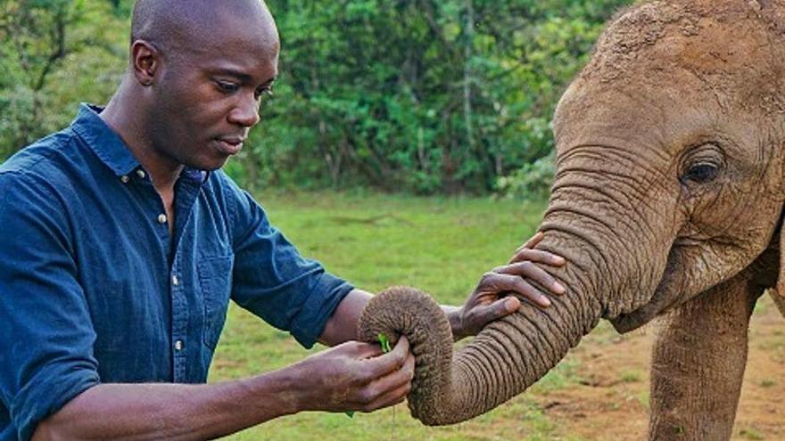 Patrick Aryee amb una cria d&#039;elefant.