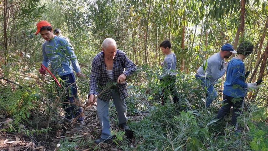 Una de las jornadas de deseucaliptización del monte de Tirán, con voluntarios.   | // SANTOS ÁLVAREZ