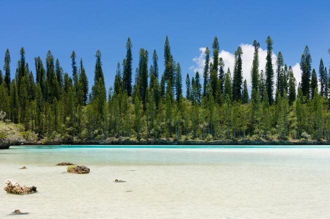 isla de Los Pinos