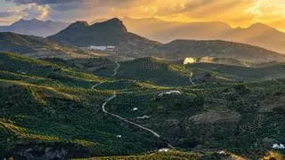 La Vía Verde más bonita de Andalucía te lleva hasta el monumento natural más insólito de España:
