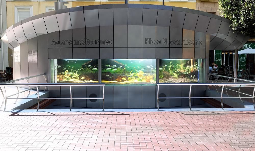 El nuevo acuario de la Plaza Nueva tendrá seis cubas con especies del Mediterráneo