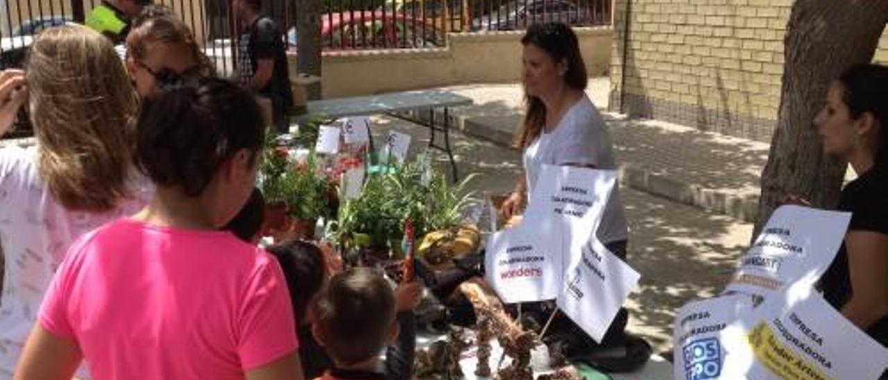 Mercadillo en Torrellano a beneficio de los niños con cáncer