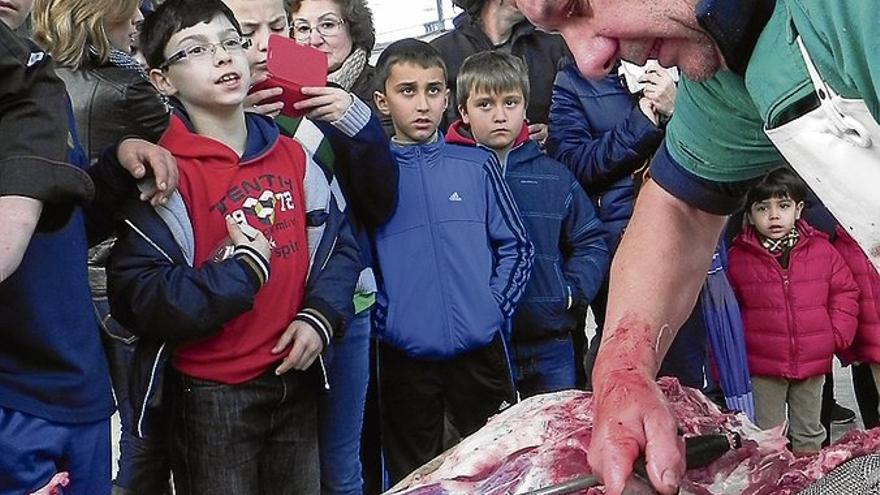 La Matanza Tradicional se celebra mañana en el pabellón ferial