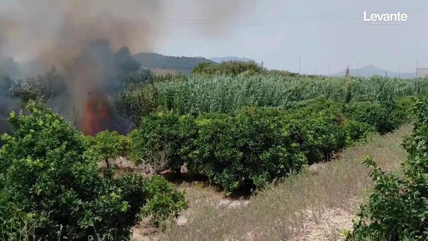 Un incendio de vegetación en el barranco de Beniteixir pone en alerta a Palmera, Piles y a l'Alqueria de la Comtessa
