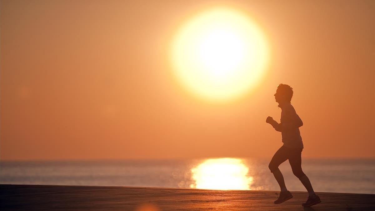 rjulve21177902 barcelona   09 01 2013  especial maraton   entrenando a la s180831121713