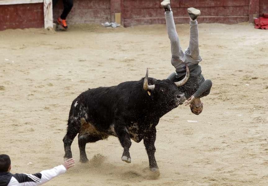 Festejos del Carnaval del Toro