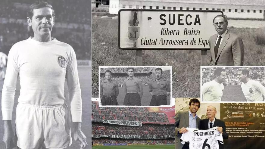 Antonio Puchades: Cent anys «d’amor per la terra»