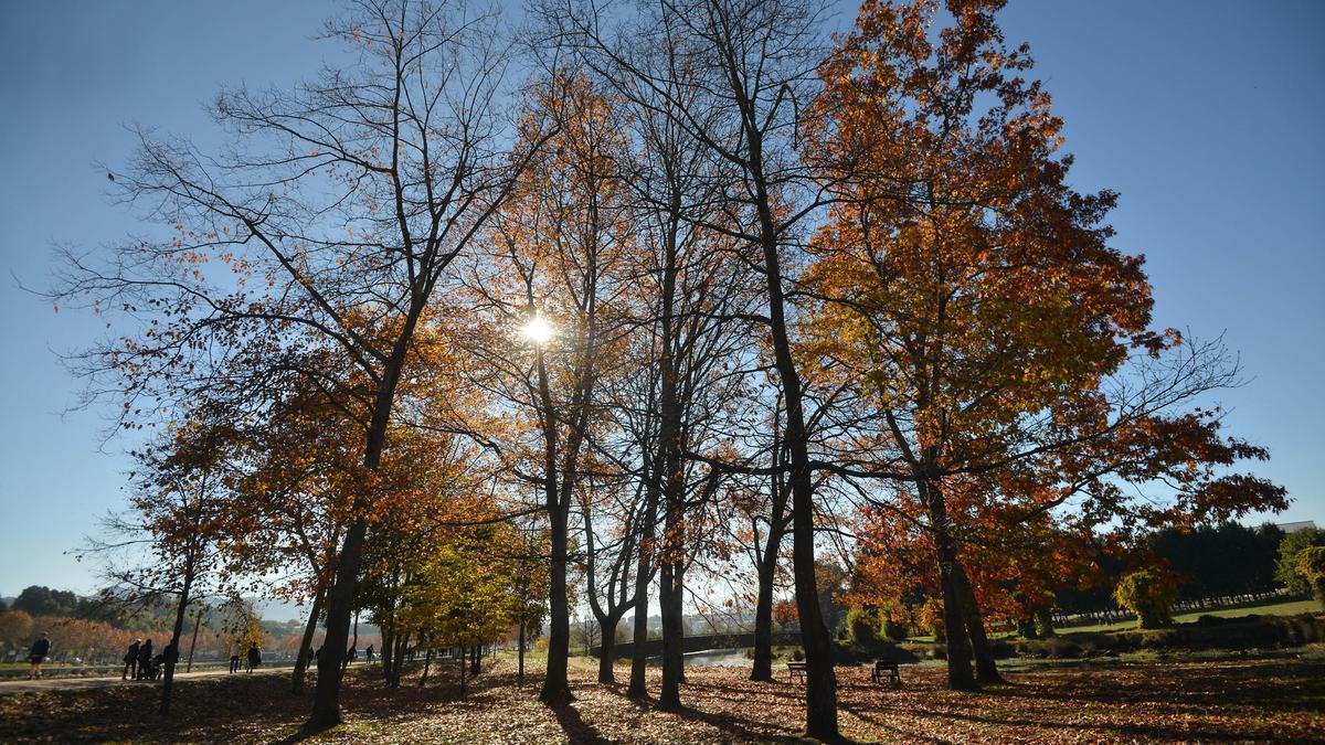 Imagen da Illa das Esculturas en Otoño.