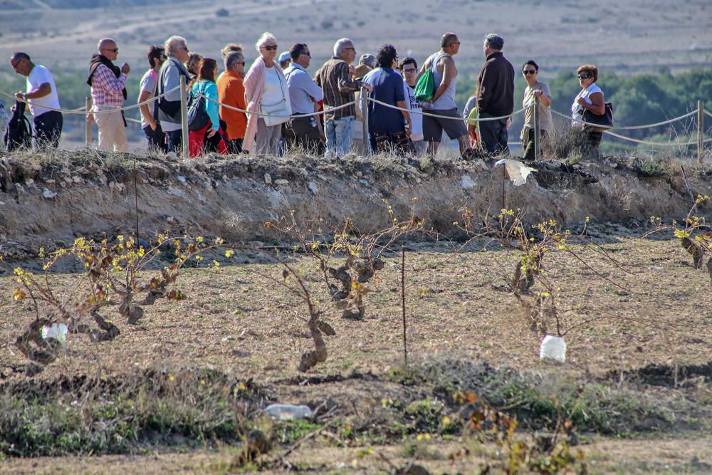 Ruta ecoturistica por el parque natural de La Mata