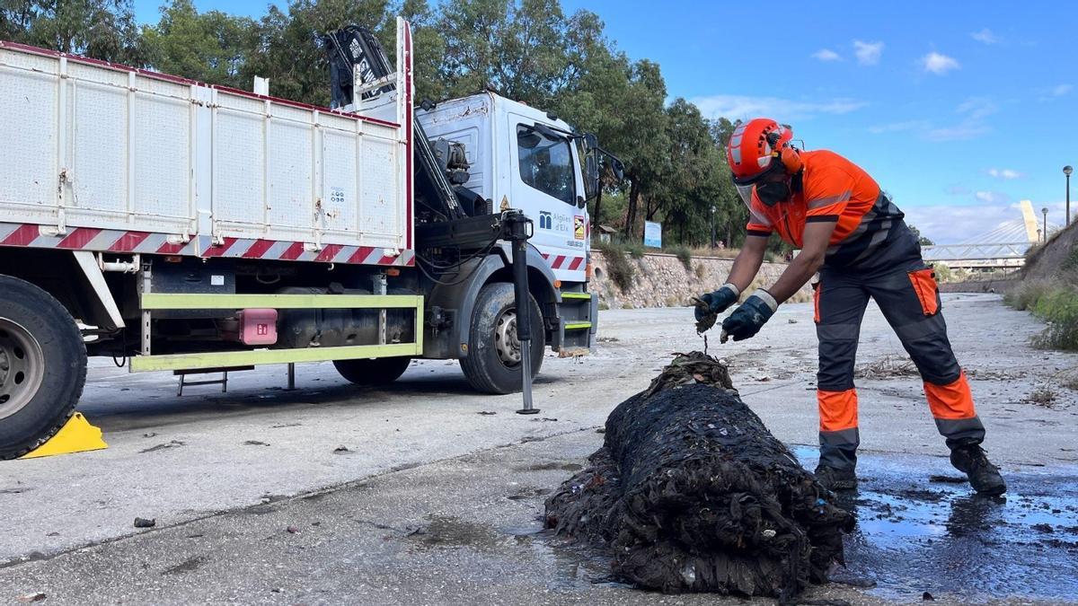 Trabajadores de Aigües d'Elx recogen los residuos de los colectores que van a parar al río Vinalopó