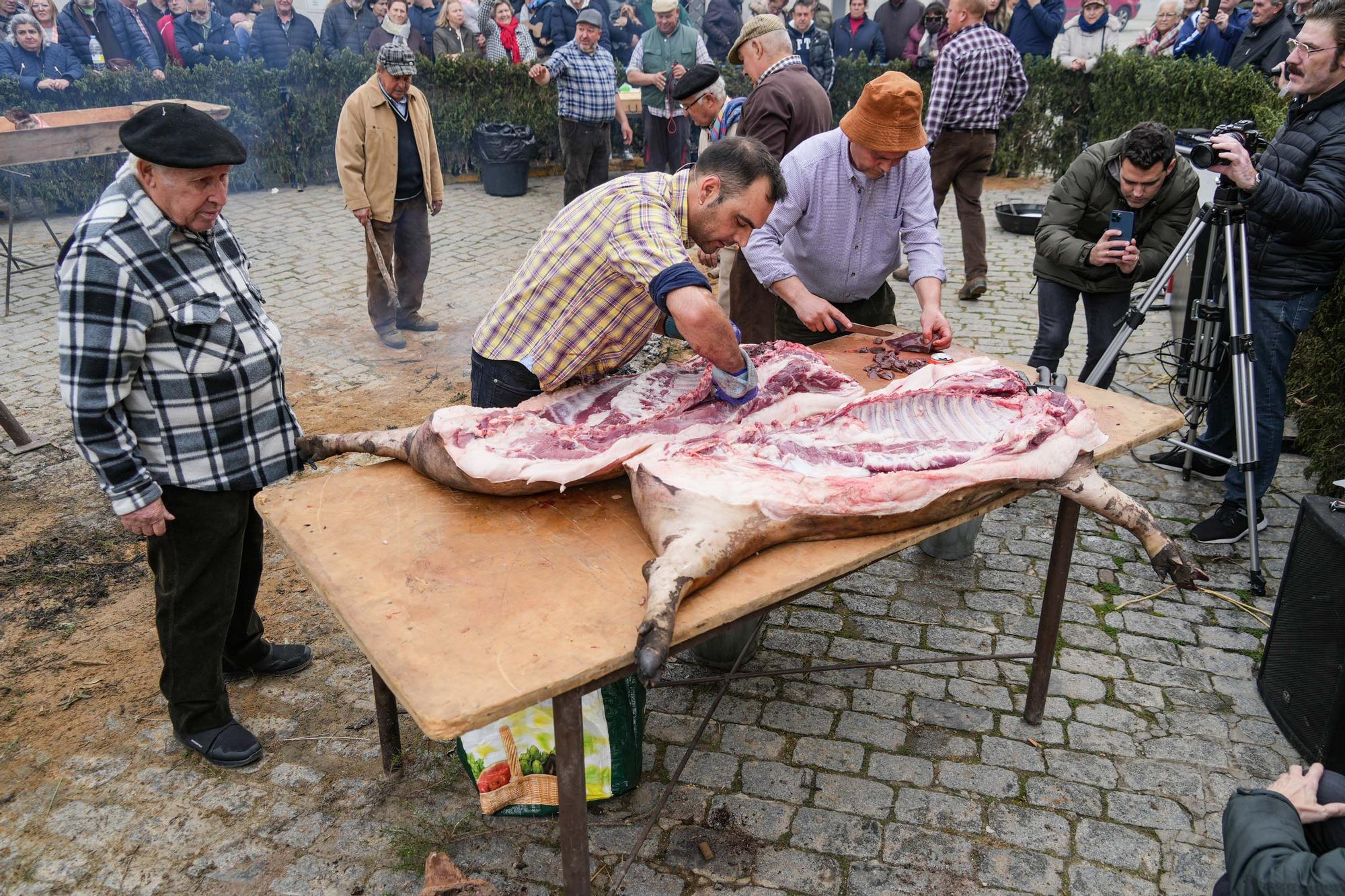 La fiesta de la matanza de Alcaracejos