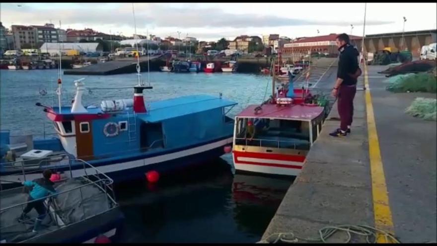 Arranca la temporada del centollo en Galicia