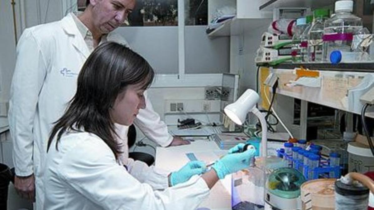 El doctor Joan Seoane en el laboratorio de Vall d'Hebron donde investiga el tumor cerebral, el viernes.