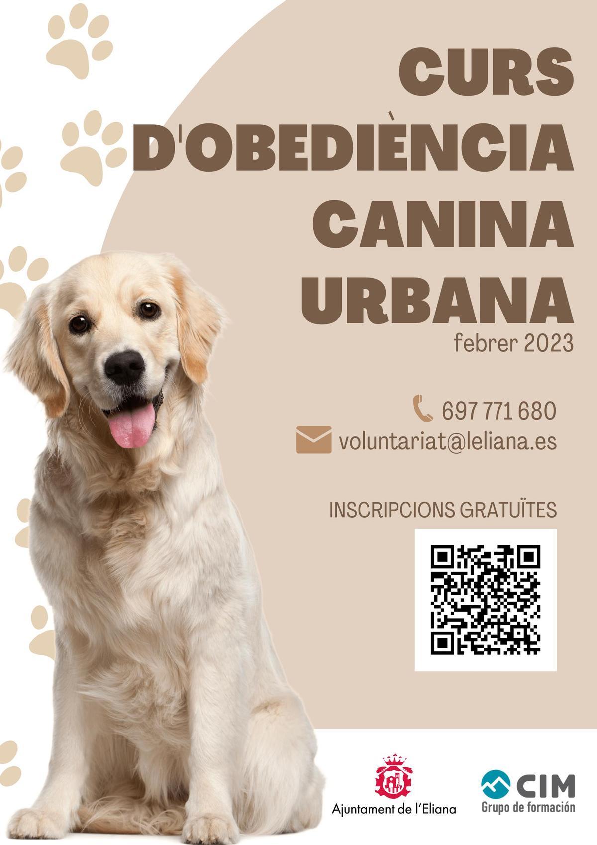Curso de obediencia canina en l'Eliana