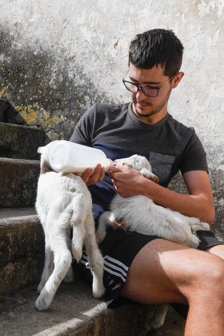 Recorrido por la cumbre y las presas de Gran Canaria tras las últimas lluvias