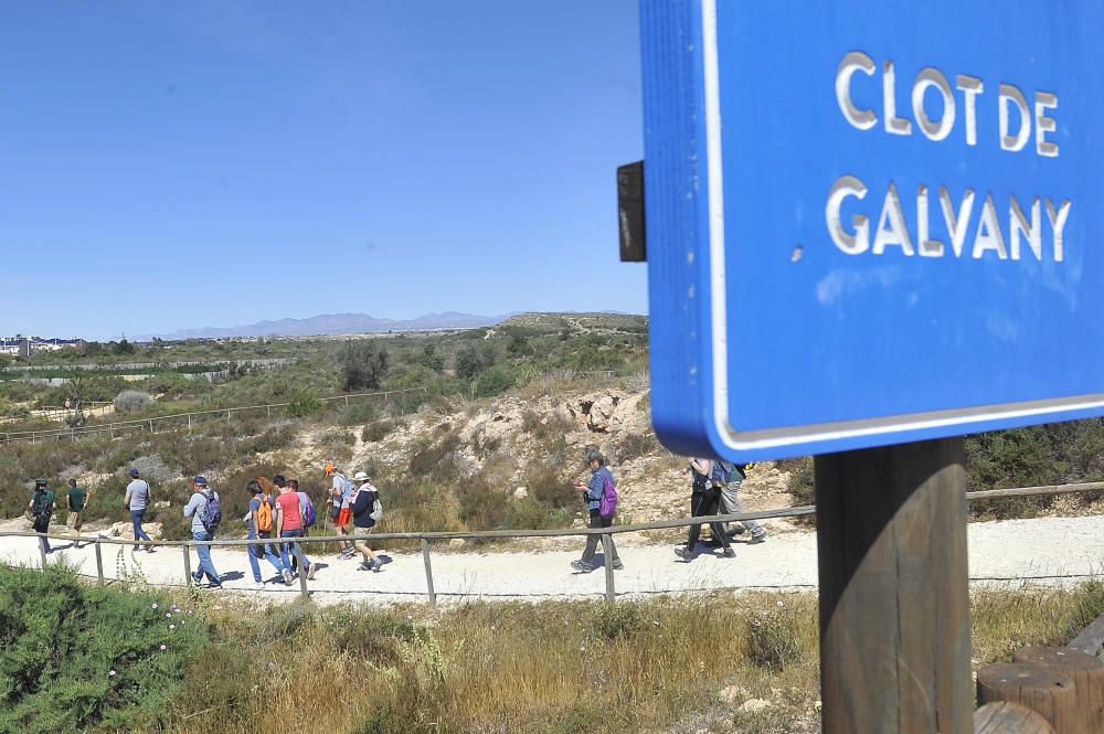 Día Internacional de las Aves Migratorias