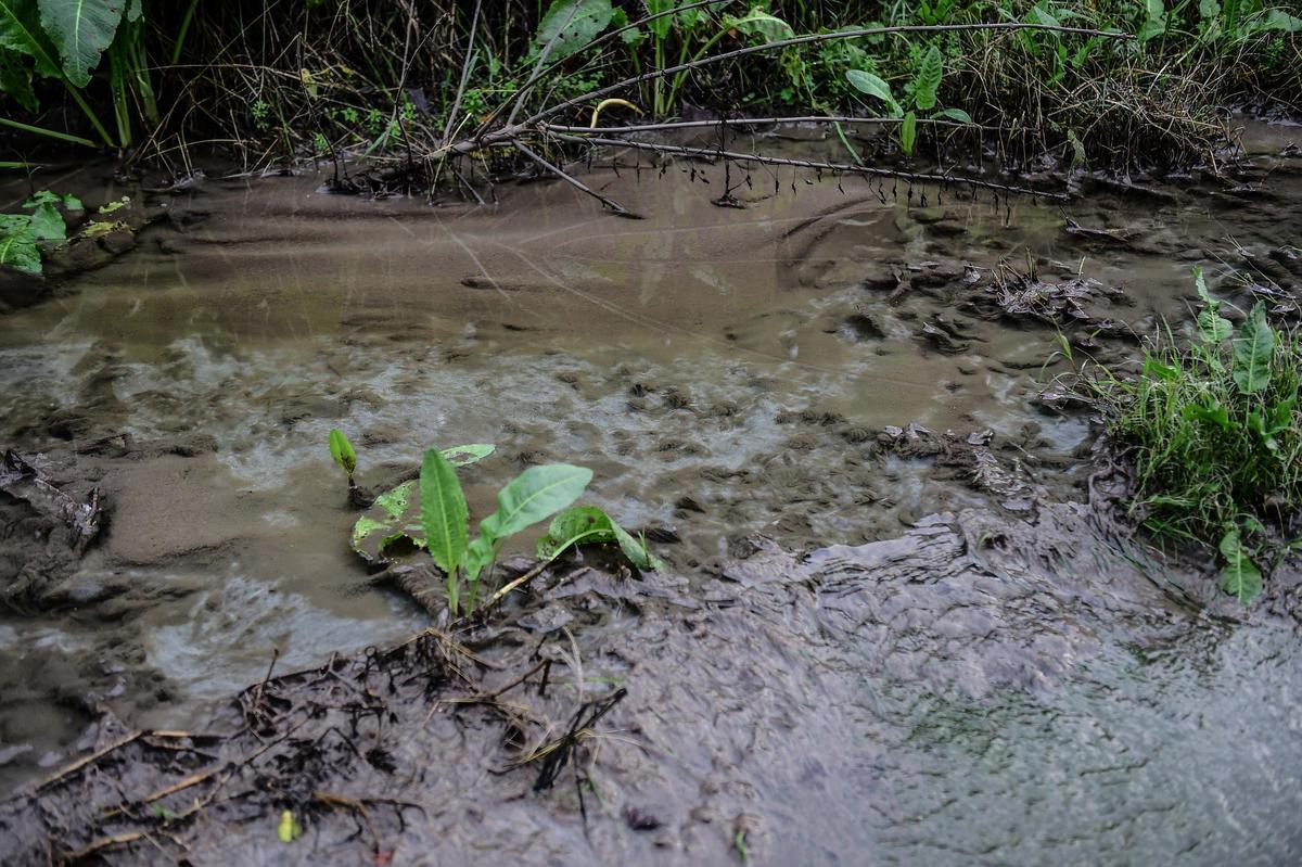 FOTOGALERÍA | Aguas fecales en uno de los paseos del río de Plasencia