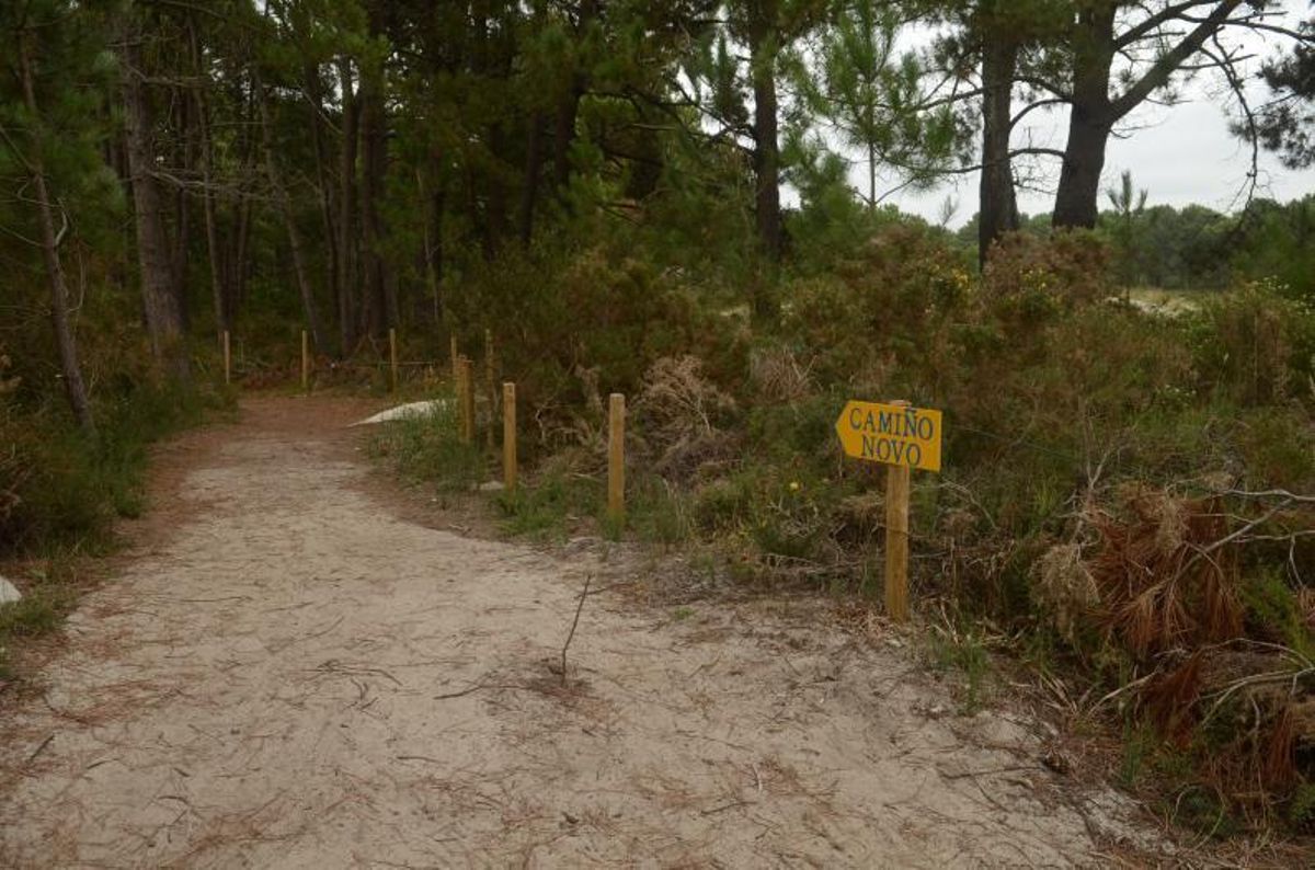 La protección de las dunas ha sido clave para preservarlas.   | // N. PARGA