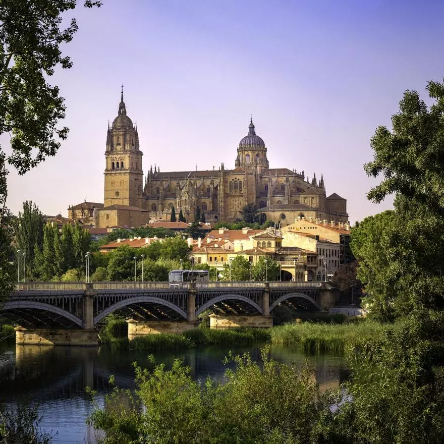 Salamanca, la ciudad dorada y refugio emocional de Vicente del Bosque