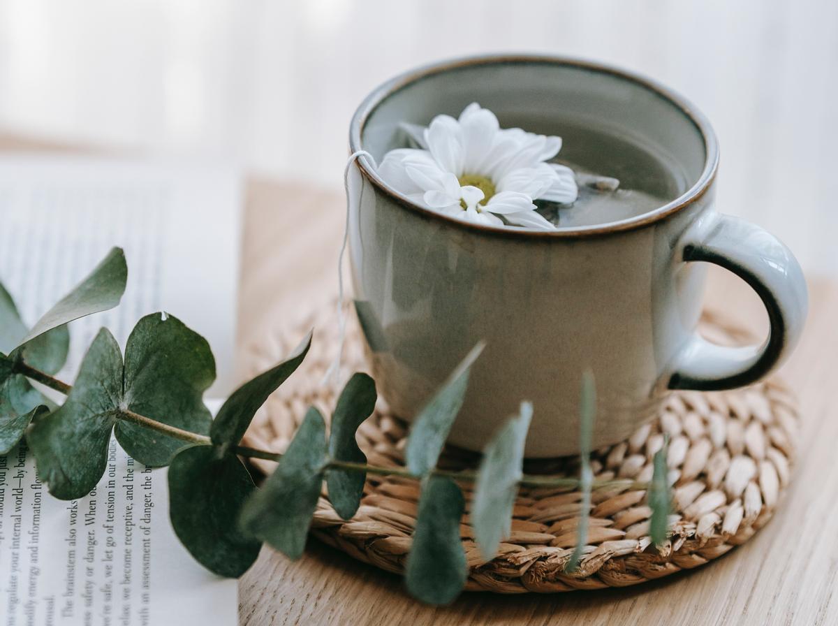 Haz gárgaras con una infusión caliente de hojas de plantas antisépticas para la garganta y pulmones.