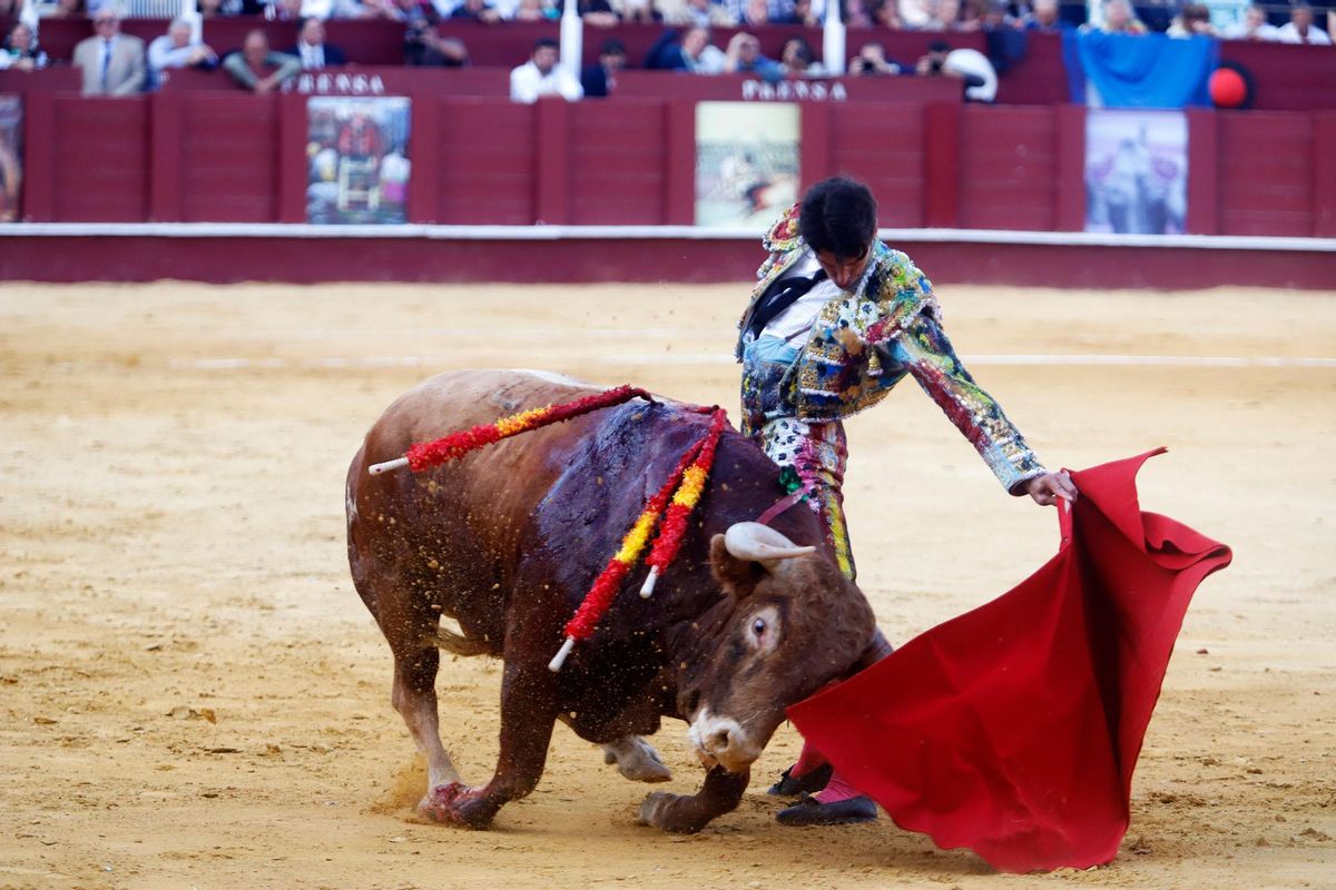 Las imágenes de la Corrida Picassiana de 2023