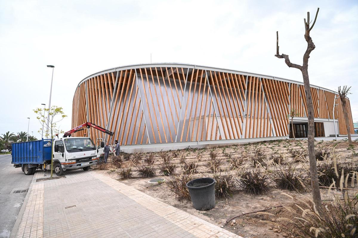 En los jardines exteriores del Pabellón de Deporte Inclusivo Sara Marín y María Díez en Elche se estaban plantando árboles de gran porte este viernes por la mañana