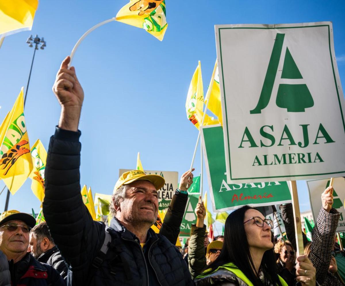 Protesta de agricultores y ganaderos en Madrid.