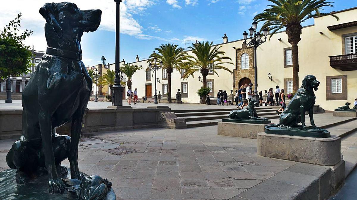 Perros de la plaza de Santa Ana.