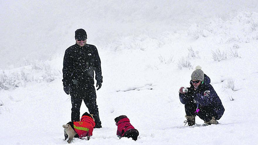 Asturias estará mañana en alerta por fuertes nevadas
