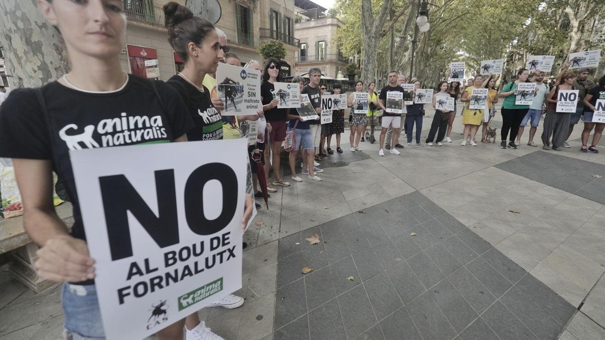 Unas 30 personas se han concentrado en Palma para exigir el fin del correbou