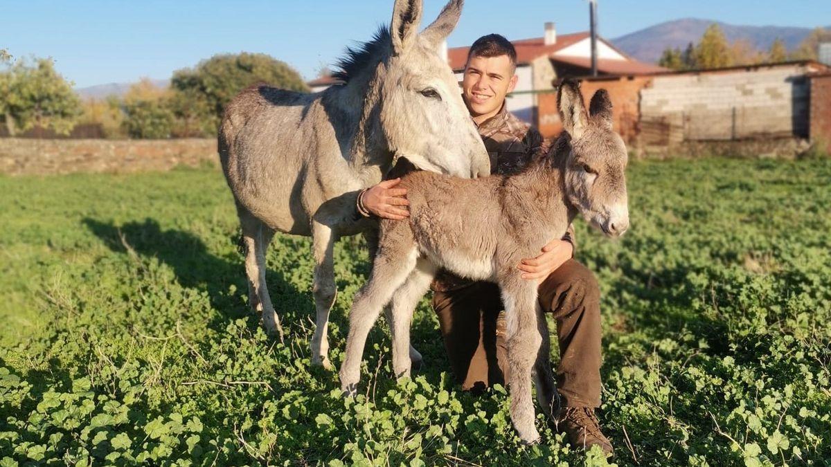 Con los burros en el campo.