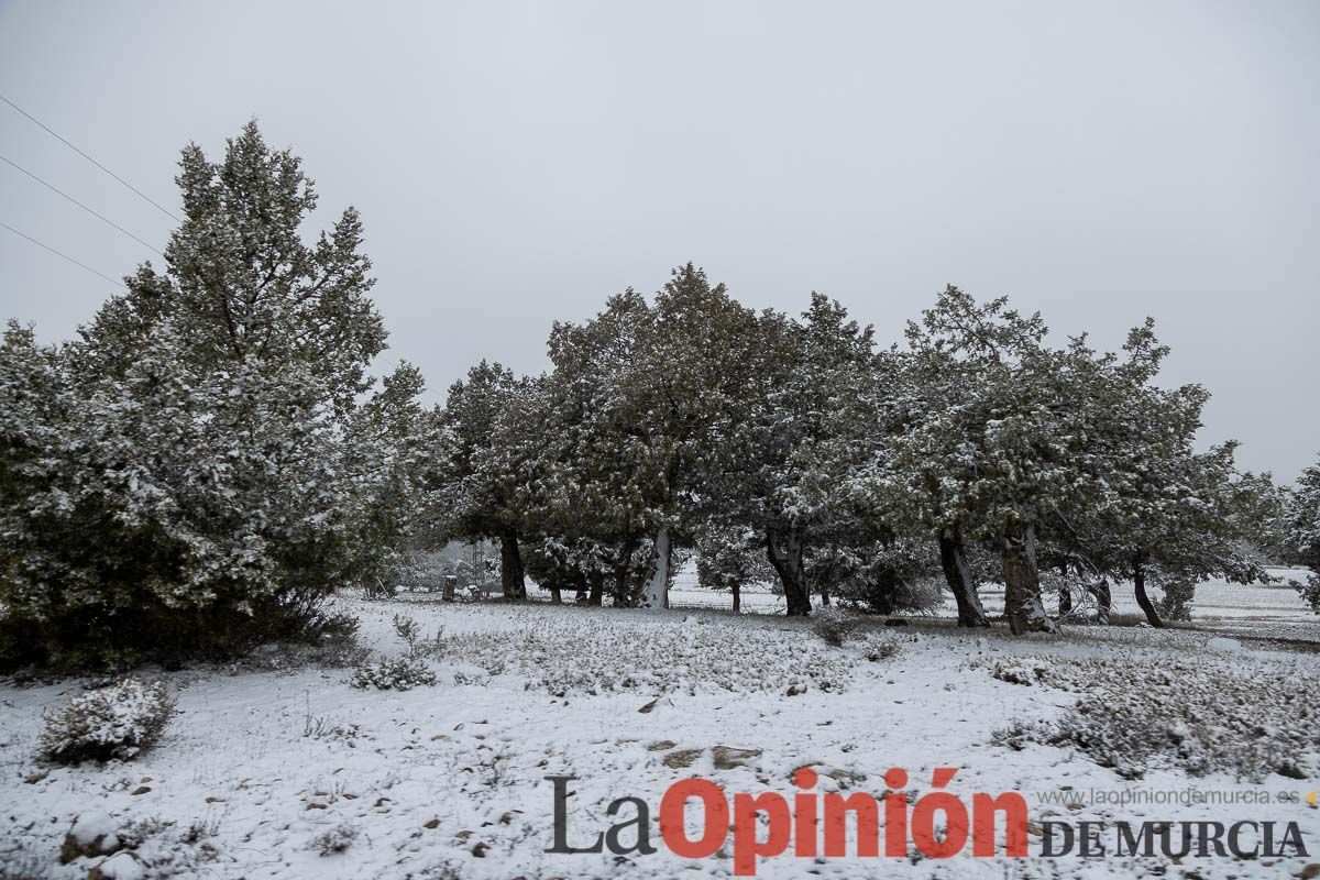 Nieve en el Noroeste