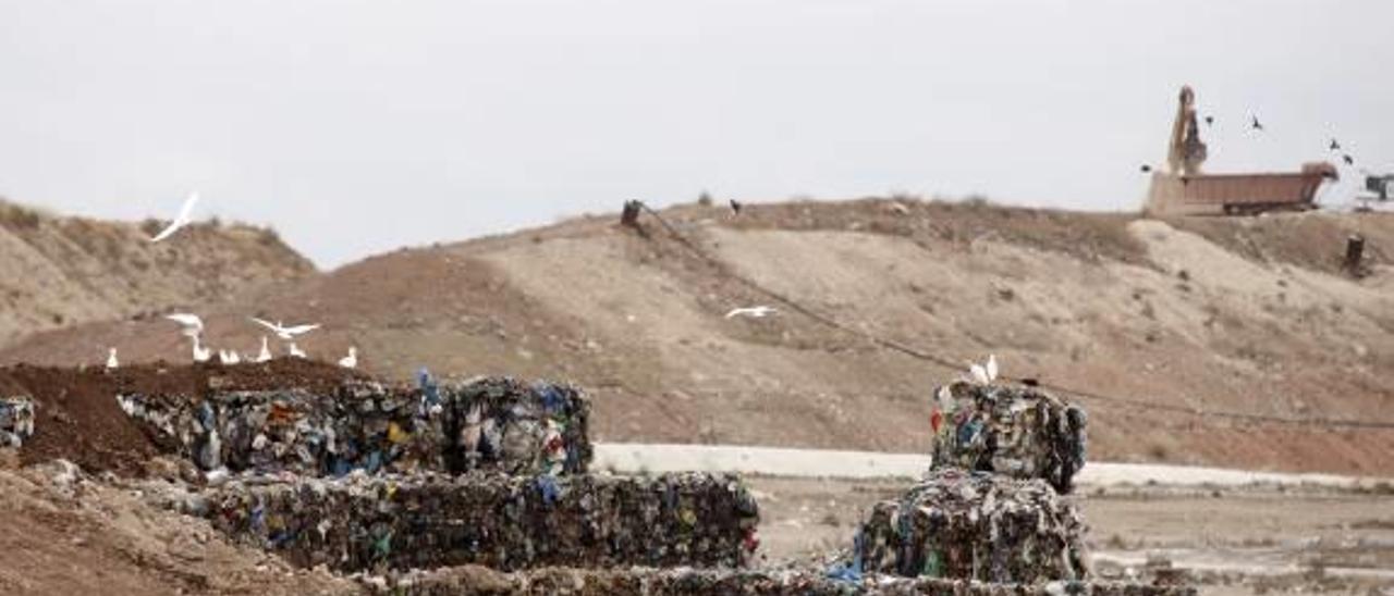 Piden vigilar la planta de basuras para evitar los malos olores