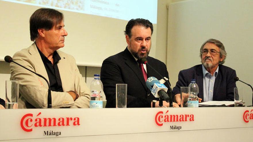 Damián Caneda, Carlos Álvarez y Carlos de Mesa Ruiz, en la presentación.